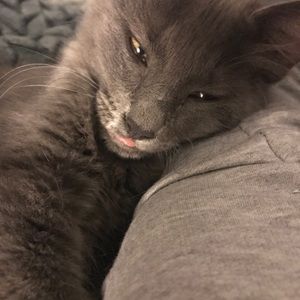 Meet your Posher, Nicole